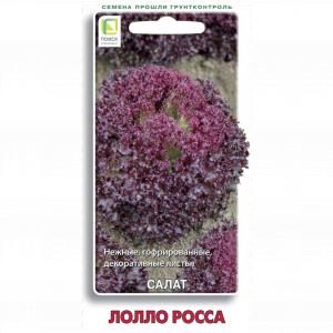 Салат