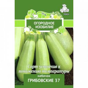 Кабачок
