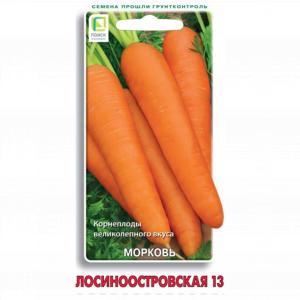 Морковь