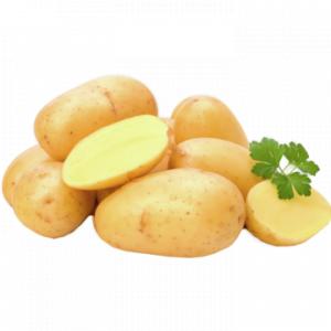 Картофель